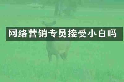 网络营销专员接受小白吗