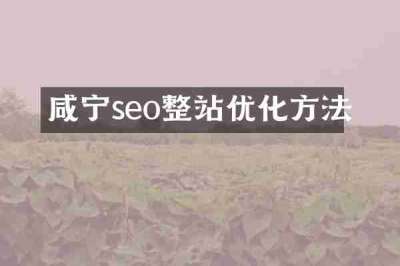咸宁seo整站优化方法