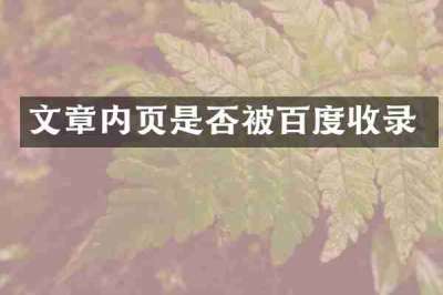 文章内页是否被百度收录