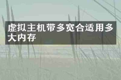 虚拟主机带多宽合适用多大内存