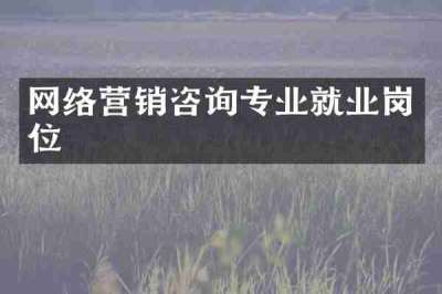 网络营销咨询专业就业岗位