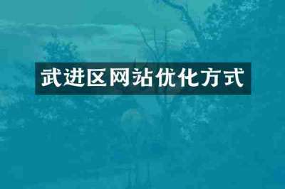 武进区网站优化方式