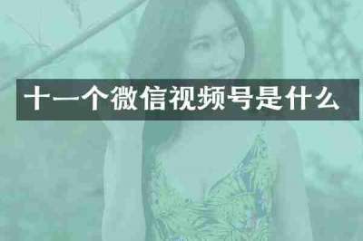 十一个微信视频号是什么
