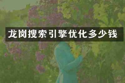龙岗搜索引擎优化多少钱