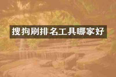 搜狗刷排名工具哪家好