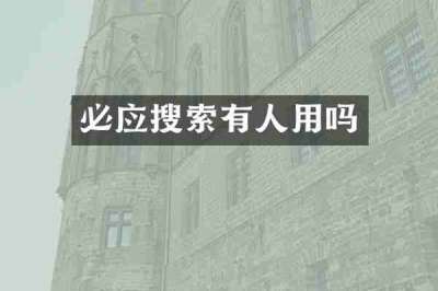 必应搜索有人用吗