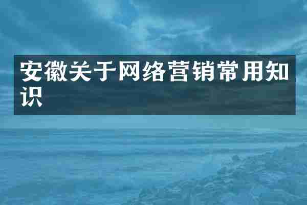 安徽关于网络营销常用知识