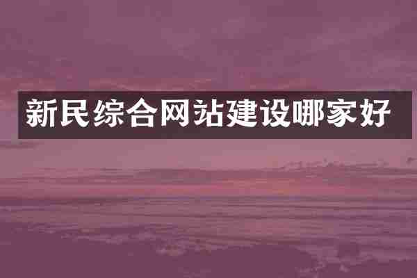 新民综合网站建设哪家好