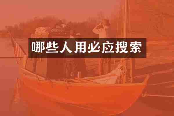 哪些人用必应搜索