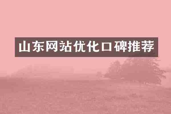 山东网站优化口碑推荐