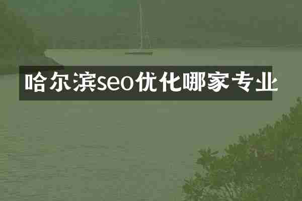 哈尔滨seo优化哪家专业