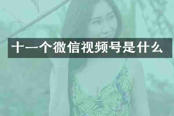 十一个微信视频号是什么