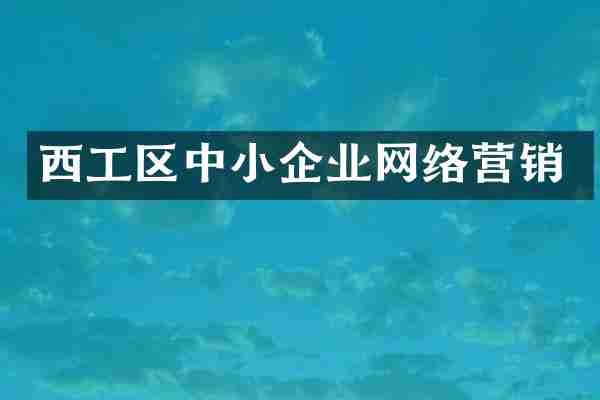 西工区中小企业网络营销