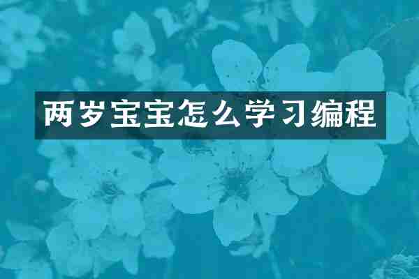 两岁宝宝怎么学习编程