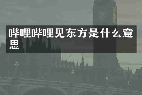 哔哩哔哩见东方是什么意思