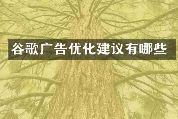 谷歌广告优化建议有哪些