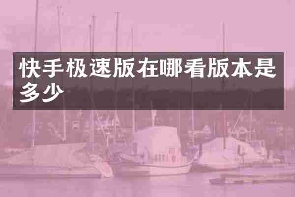 快手极速版在哪看版本是多少