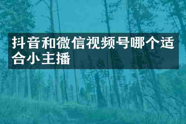 抖音和微信视频号哪个适合小主播