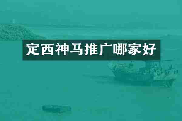 定西神马推广哪家好