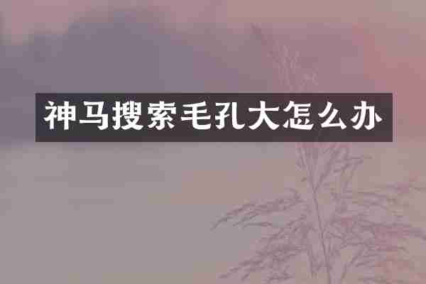 神马搜索毛孔大怎么办