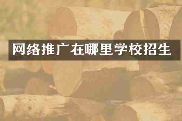 网络推广在哪里学校招生
