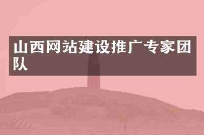 山西网站建设推广专家团队
