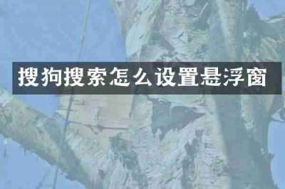 搜狗搜索怎么设置悬浮窗