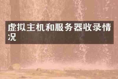 虚拟主机和服务器收录情况