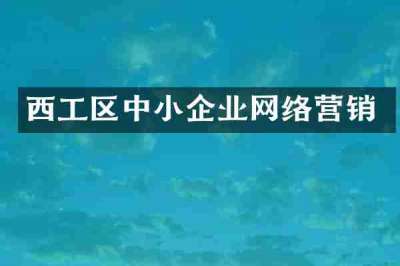 西工区中小企业网络营销