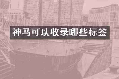 神马可以收录哪些标签