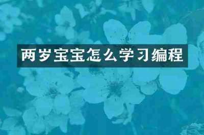 两岁宝宝怎么学习编程