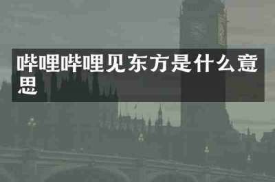 哔哩哔哩见东方是什么意思