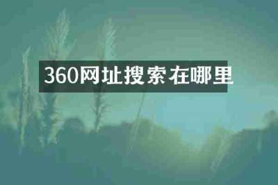360网址搜索在哪里