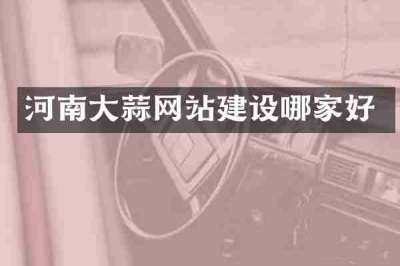 河南大蒜网站建设哪家好