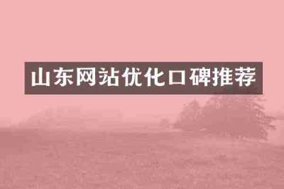 山东网站优化口碑推荐