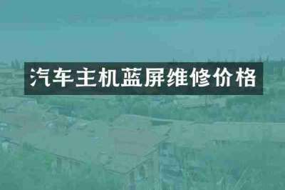 汽车主机蓝屏维修价格
