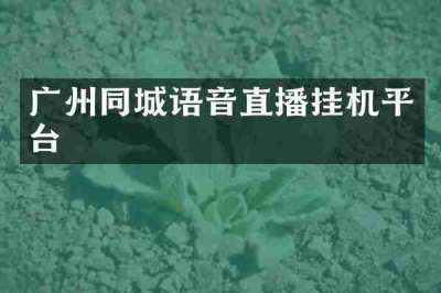 广州同城语音直播挂机平台