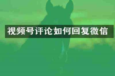 视频号评论如何回复微信
