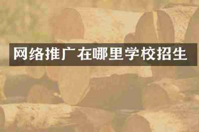 网络推广在哪里学校招生