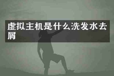 虚拟主机是什么洗发水去屑
