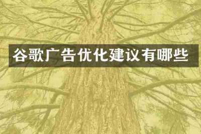谷歌广告优化建议有哪些