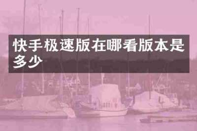 快手极速版在哪看版本是多少