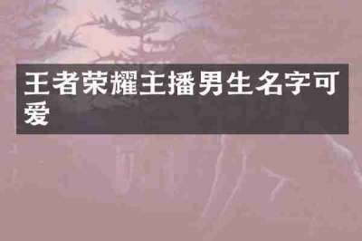 王者荣耀主播男生名字可爱