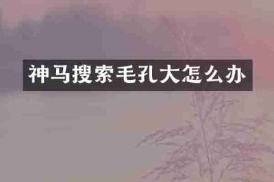 神马搜索毛孔大怎么办