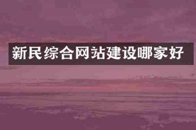 新民综合网站建设哪家好