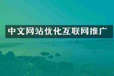 中文网站优化互联网推广