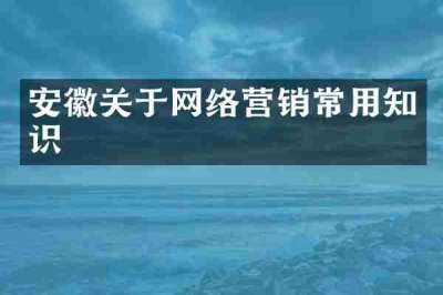 安徽关于网络营销常用知识
