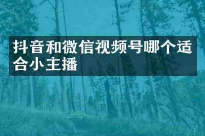 抖音和微信视频号哪个适合小主播