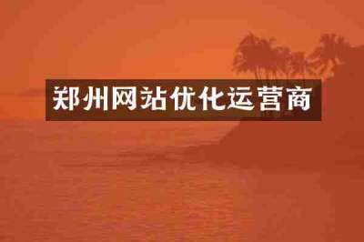 郑州网站优化运营商