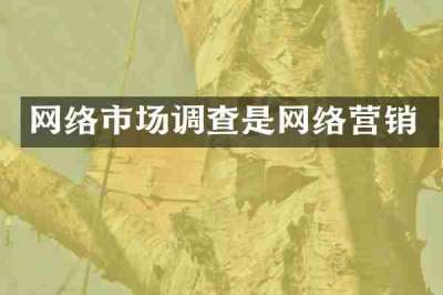 网络市场调查是网络营销